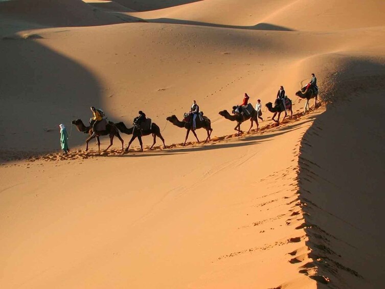 Un gruppo di persone cavalca cammelli attraverso un paesaggio di dune sabbiose. 1