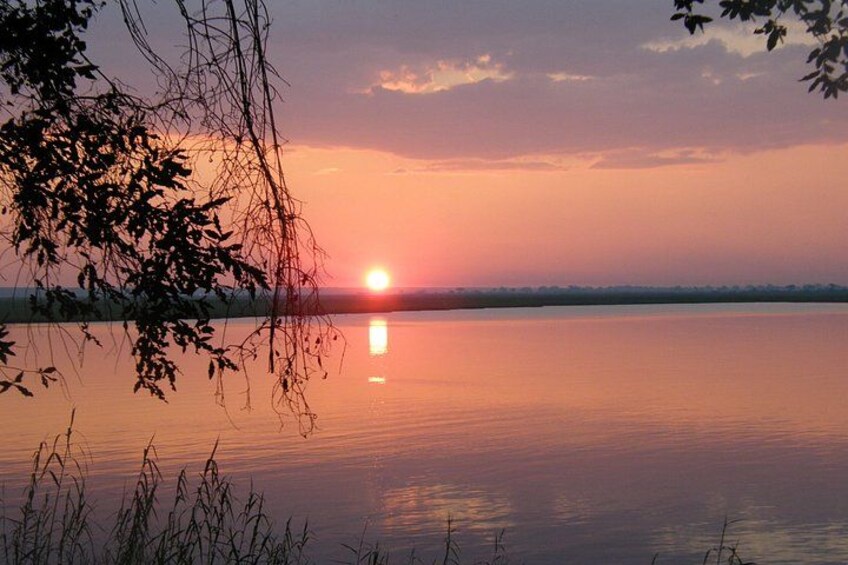 Un atardecer sobre un lago tranquilo con reflejos del sol, rodeado de árboles y hierbas. 4