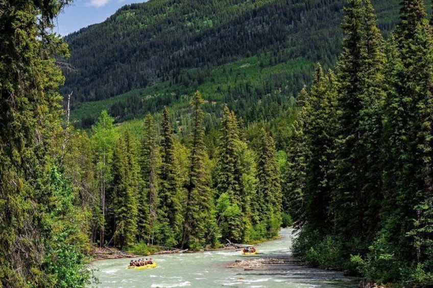 Whitewater Rafting on Toby Creek 4