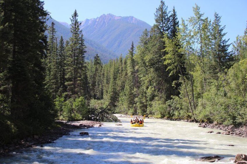 Whitewater Rafting on Toby Creek 3