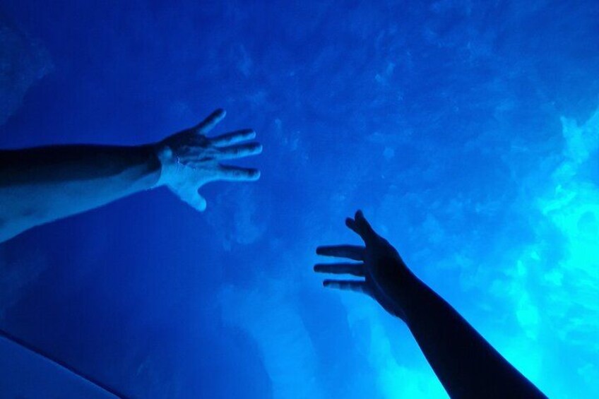 BLUE CAVE and 5 Islands Tour from Hvar 4