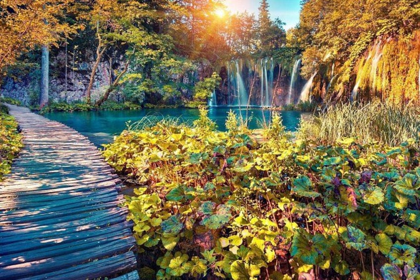 Een houten looppad, een rivier en weelderige begroeiing. 4