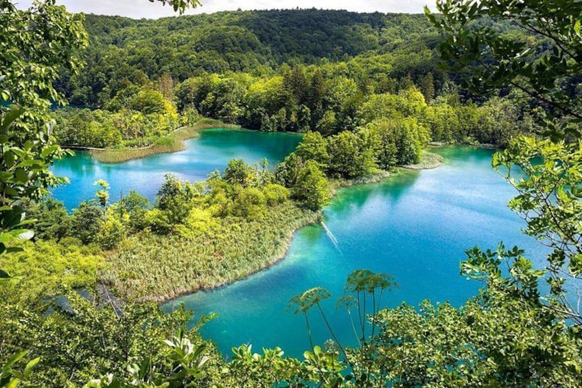 Een turquoise meer, omringd door een dicht, groen bos. 5