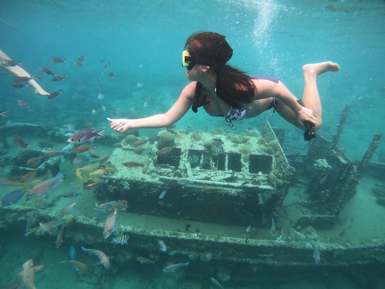Private guided snorkel with pics included 1