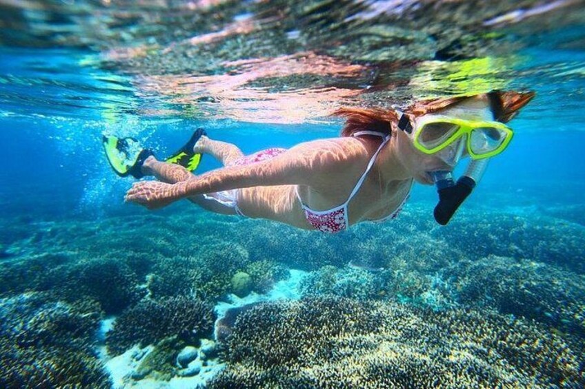 Snorkeling in the French Nature Reserve 5