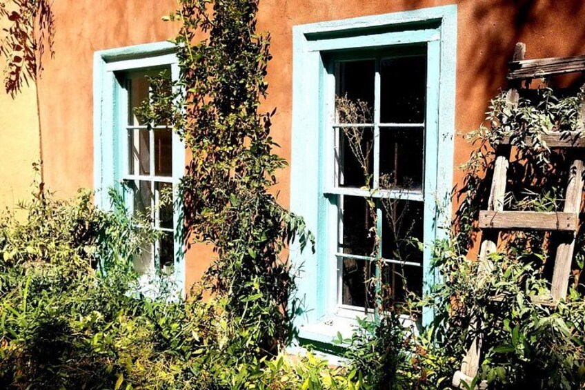 A building with two windows, one with a blue frame and the other with a white frame, surrounded by overgrown vegetation. 3