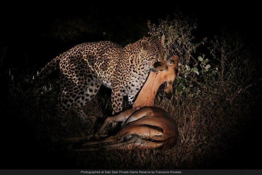 Night Game Drive and Bush Dinner from Victoria Falls 3