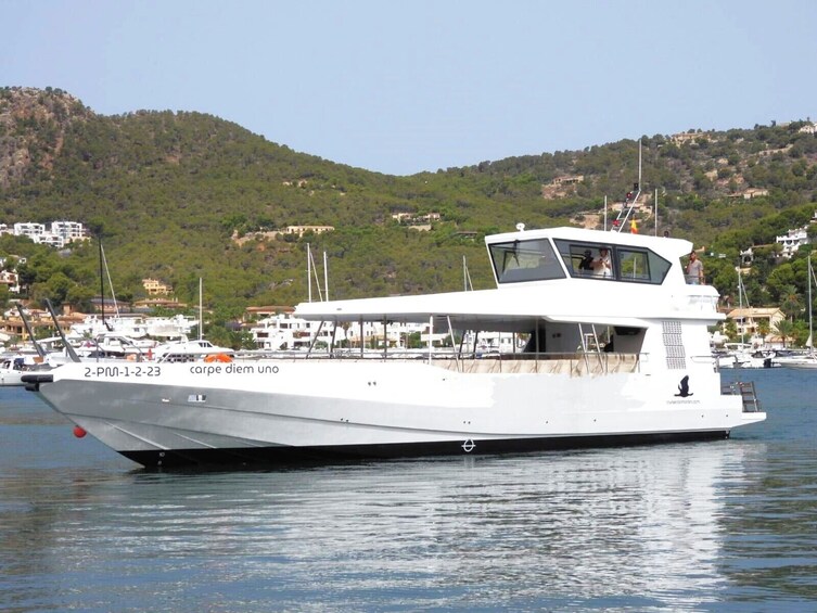 Catamaran trip to Paradise in Mallorca 2