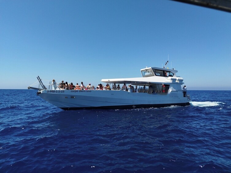 Catamaran trip to Paradise in Mallorca 5