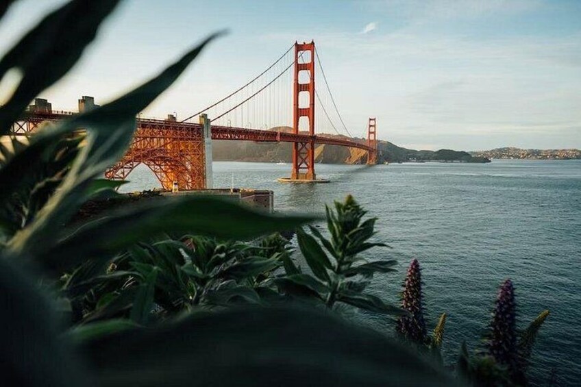 Alcatraz ticket with free round trip ferry & App Audio Packages 3