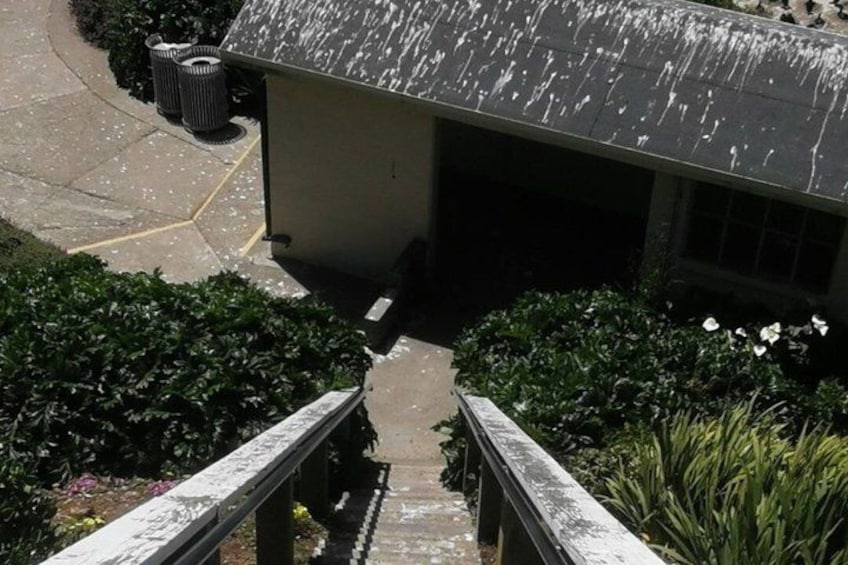 A staircase leading to a building with a snow-covered roof. 5