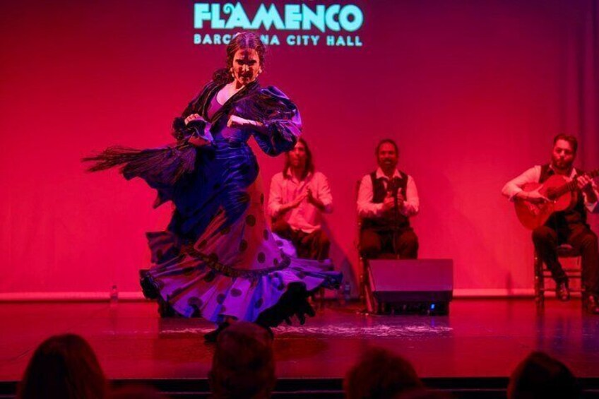 Flamenco Show Ticket at Theatre Barcelona City Hall 5