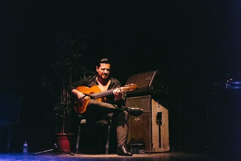 Flamenco Show Ticket at Theatre Barcelona City Hall