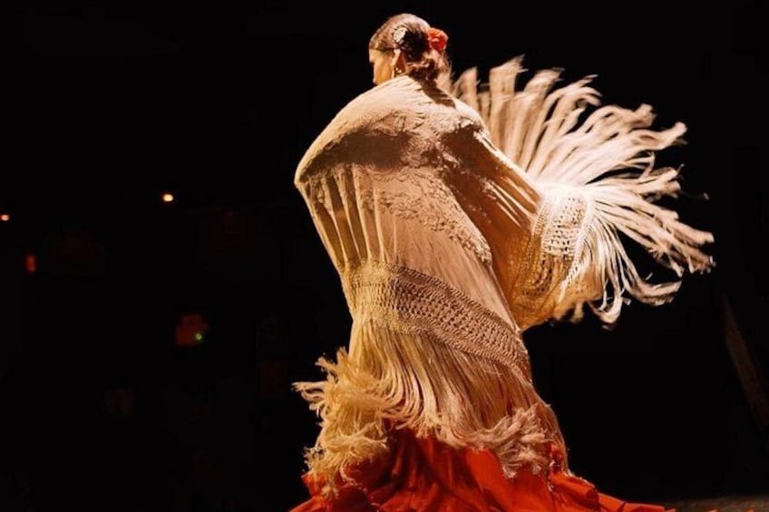 Flamenco Show Ticket at Theatre Barcelona City Hall 3