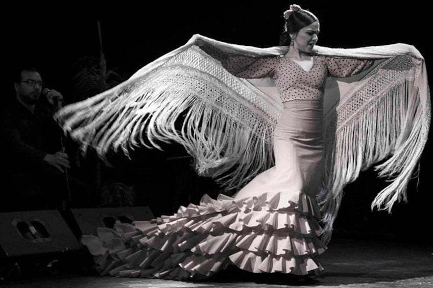Beautiful show 2