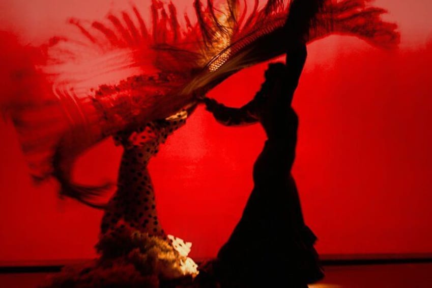 Flamenco Show Ticket at Theatre Barcelona City Hall 4