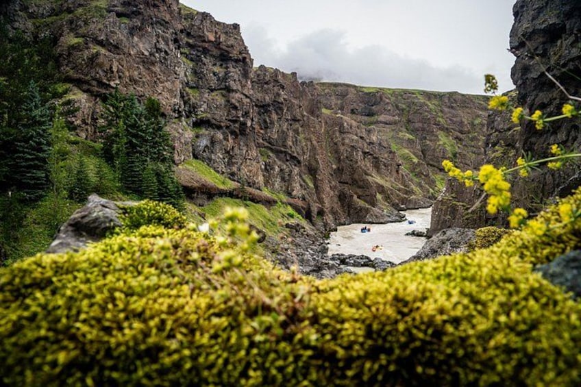 A rocky canyon with a river, greenery, and a small boat. 3