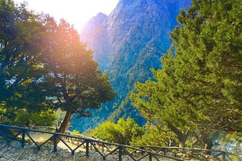 Samaria Gorge Tour from Chania - The Longest Gorge in Europe 2