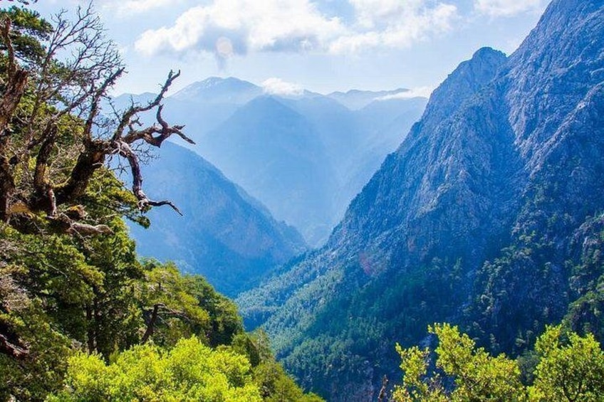 Samaria Gorge Tour from Chania - The Longest Gorge in Europe 4