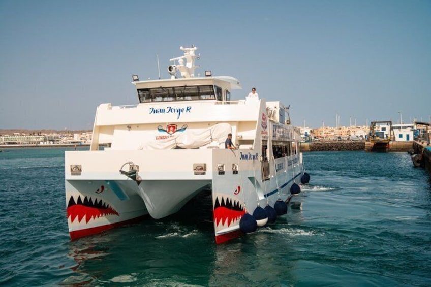 Fuerteventura at your leisure( bus transfer and return ferry ticket) 5