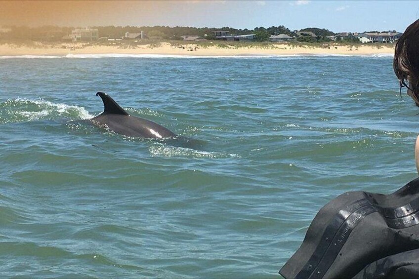 Small Group Dolphin Kayak Eco-Tour 2