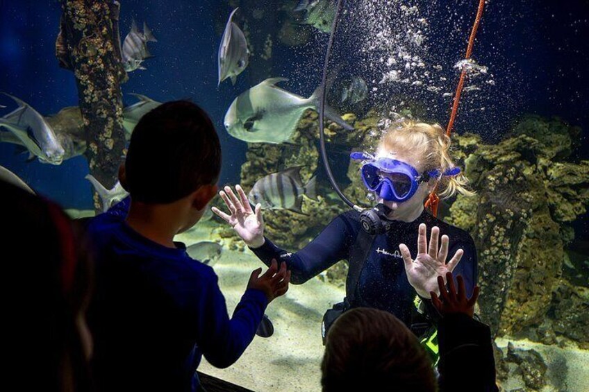 Chesapeake Bay Aquarium Dive 2
