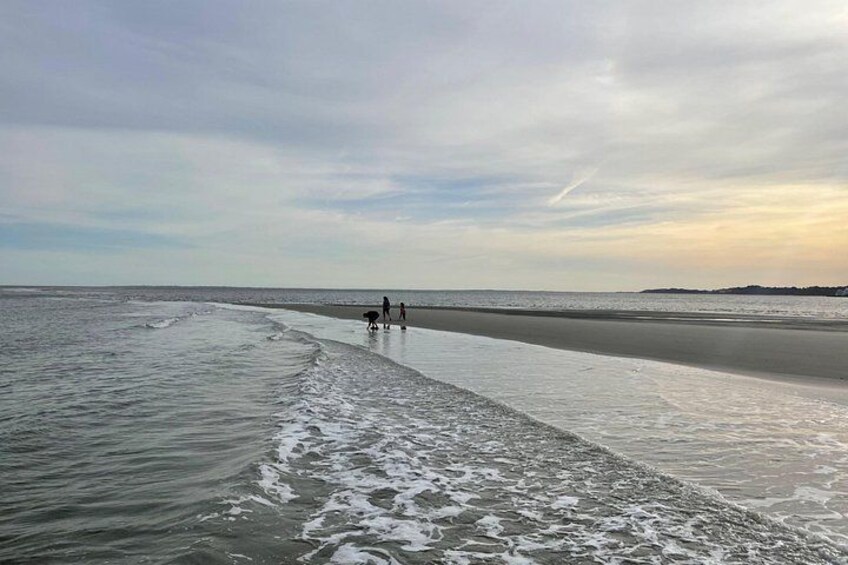 Hilton Head Dolphin Tour with Stop at Disappearing Island 2