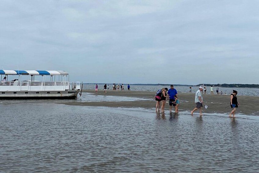 Hilton Head Dolphin Tour with Stop at Disappearing Island 3