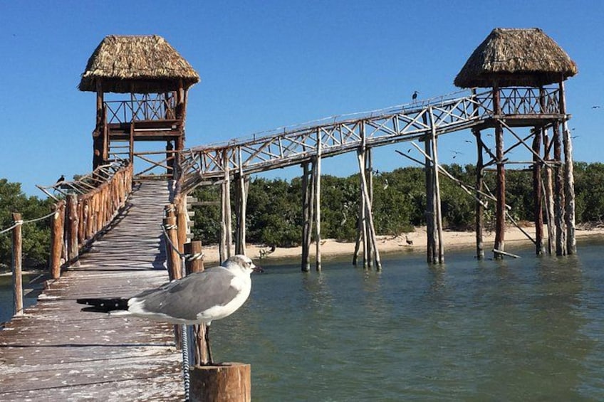 Isla_Pajaros 1