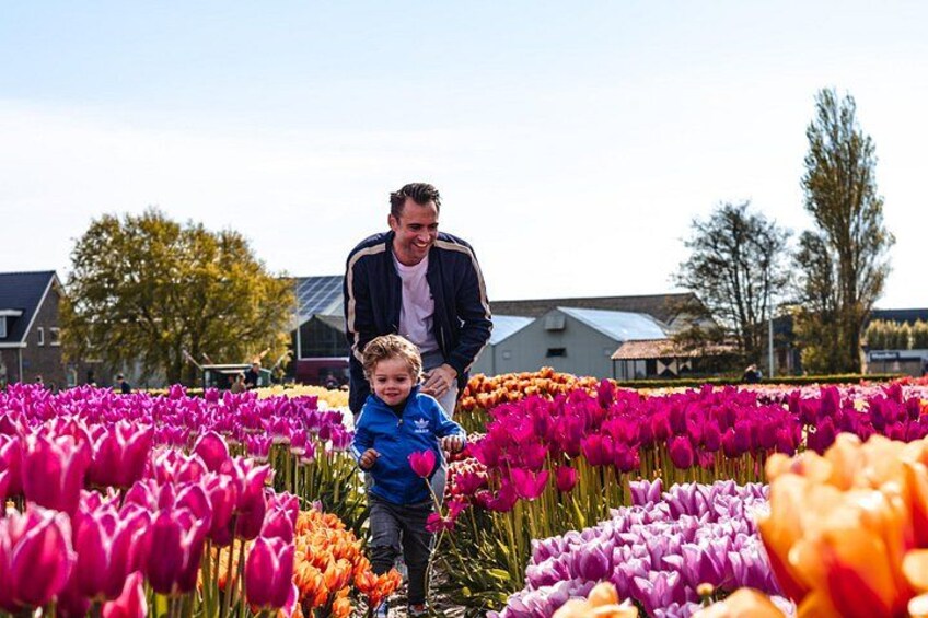 Keukenhof Gardens and Tulips Private Tour from Amsterdam 4