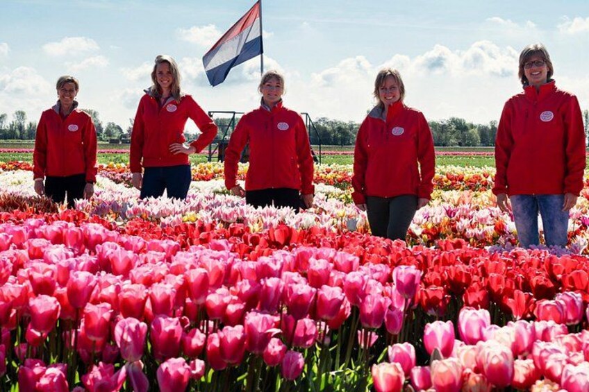 Keukenhof Gardens and Tulips Private Tour from Amsterdam 5