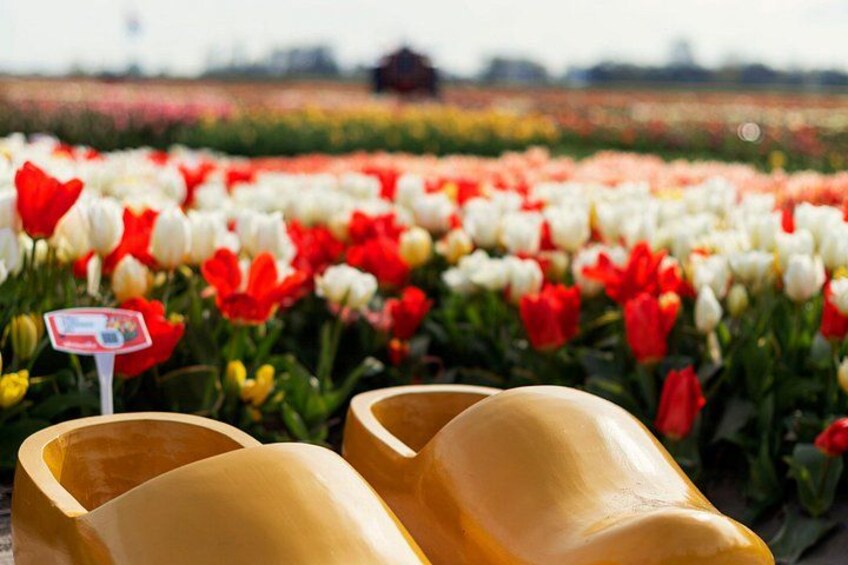 Keukenhof Gardens and Tulips Private Tour from Amsterdam 3