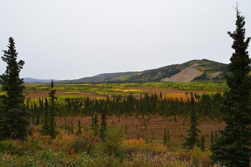 Classic ATV Adventure with Back Country Dining 2