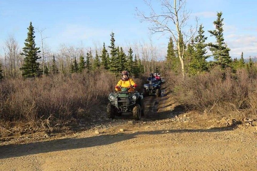 A person driving an ATV on a dirt road surrounded by trees. 5