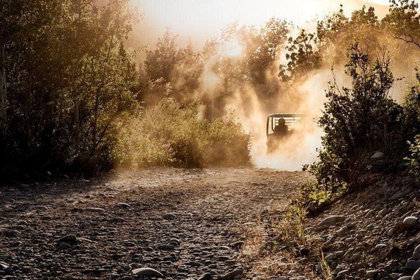 A jeep driving on a dirt road surrounded by dense vegetation. 2