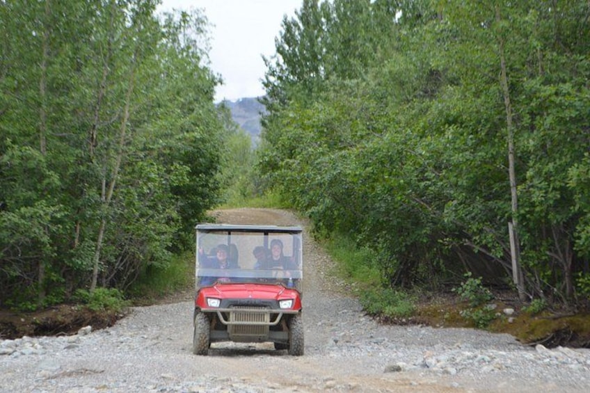 A red vehicle on a gravel path surrounded by dense green foliage. 5