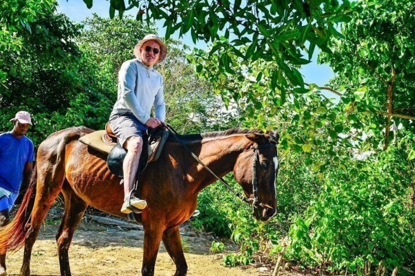 A person riding a horse through a wooded area. 5