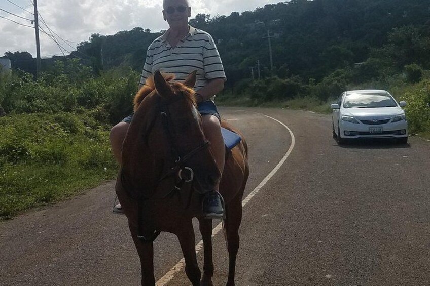 Jamaica Beach Horseback Riding Guided Tour from Runaway Bay 5