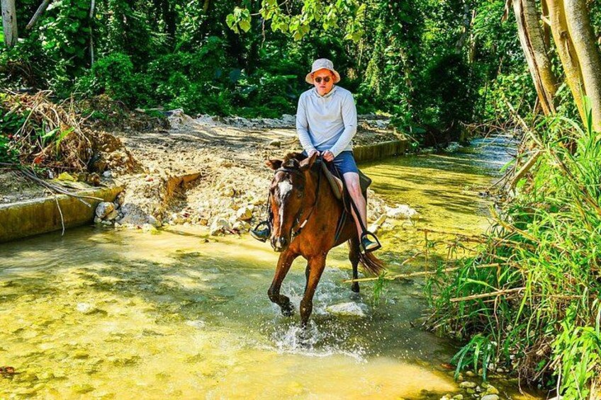 Una persona cavalca un cavallo in un ruscello poco profondo, circondata da vegetazione. 4