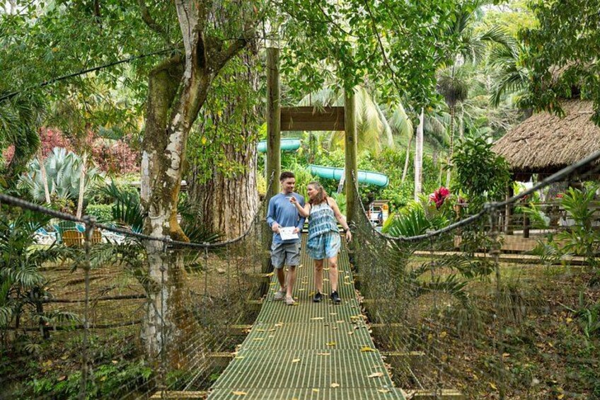 Un pont de corde dans un jardin luxuriant, avec des arbres et une structure à toit de chaume en arrière-plan. 3