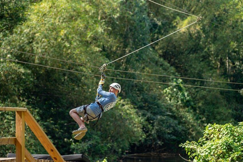 Jungle Zipline 2