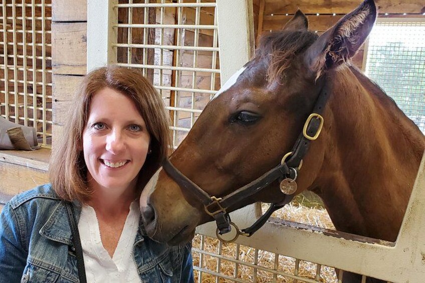 Unique Horse Farm Tours with Insider Access to Private Farms 1