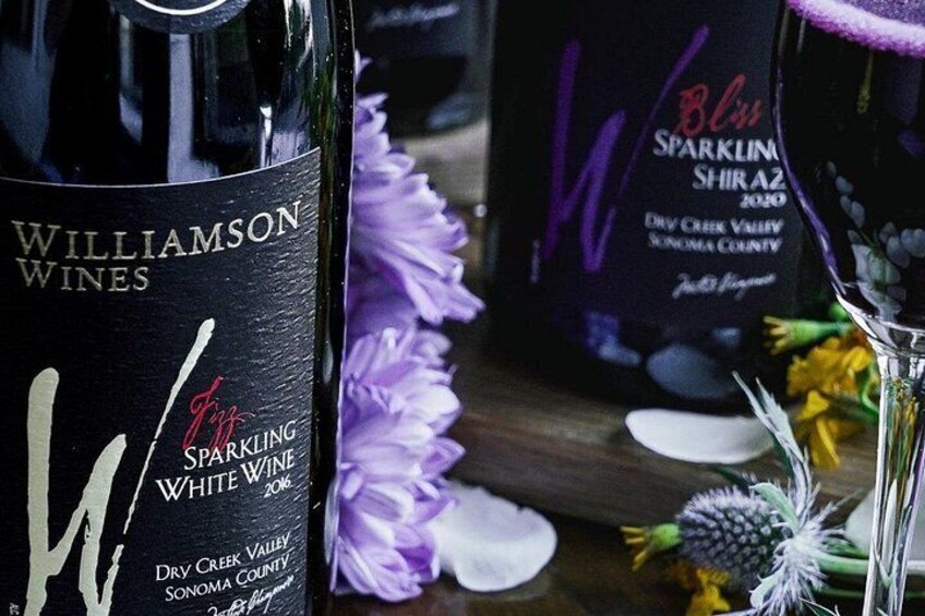 Icon Wine & Food Pairing at Williamson Wines in Healdsburg 3