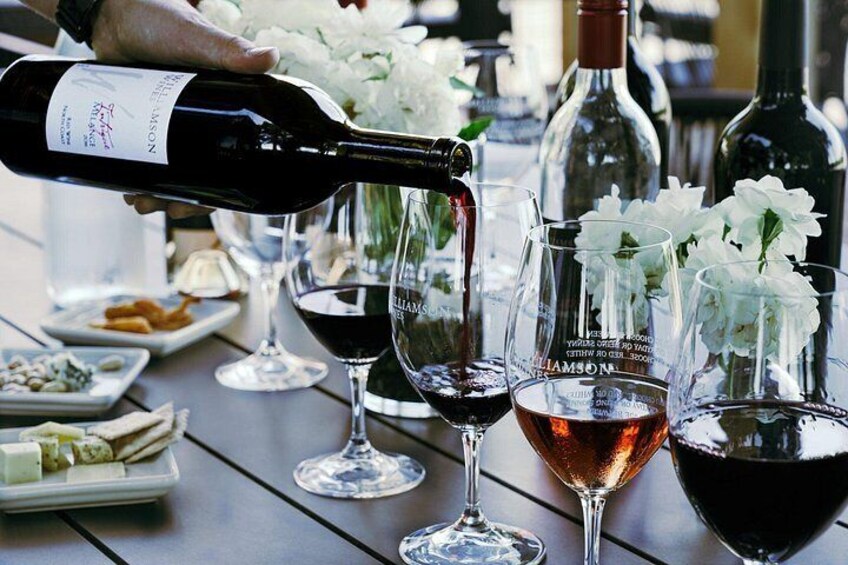 Icon Wine & Food Pairing at Williamson Wines in Healdsburg 3