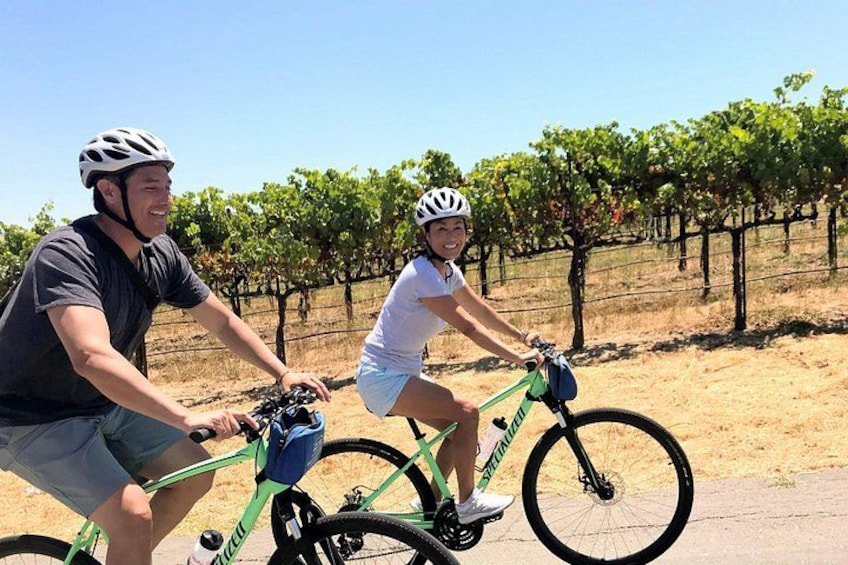 Dos personas en bicicleta en un viñedo. 3