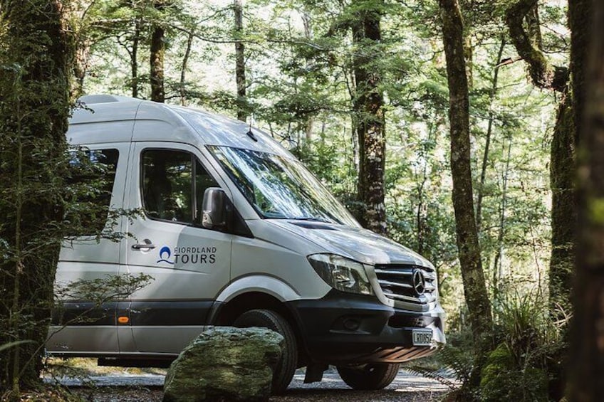 A white van with 'Fjordland Tours' branding parked in a forest. 4
