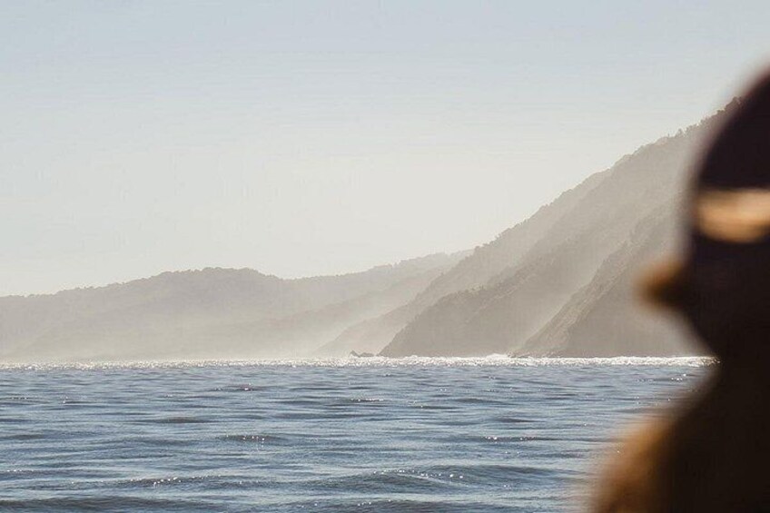 Award Winning Milford Sound Full Day Tour & Cruise from Te Anau 2