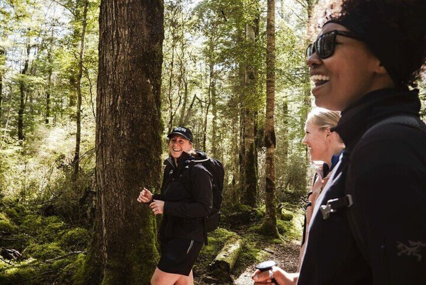 A person in a forested area with trees and a trail. 4