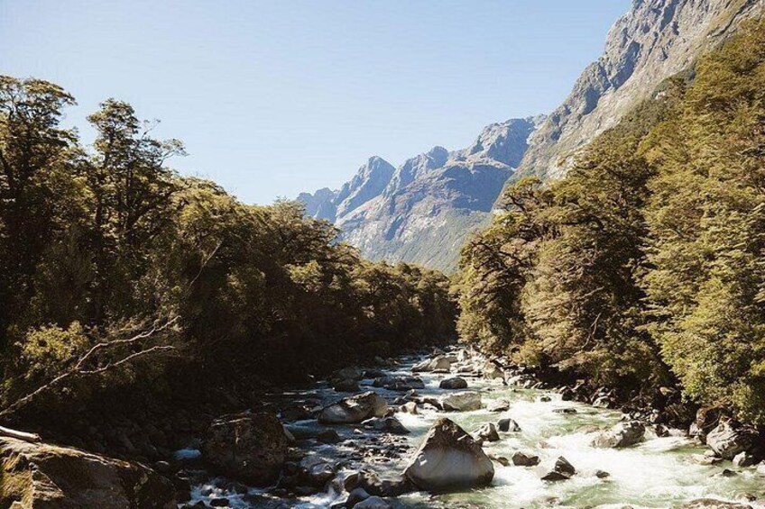Award Winning Milford Sound Full Day Tour & Cruise from Te Anau 5