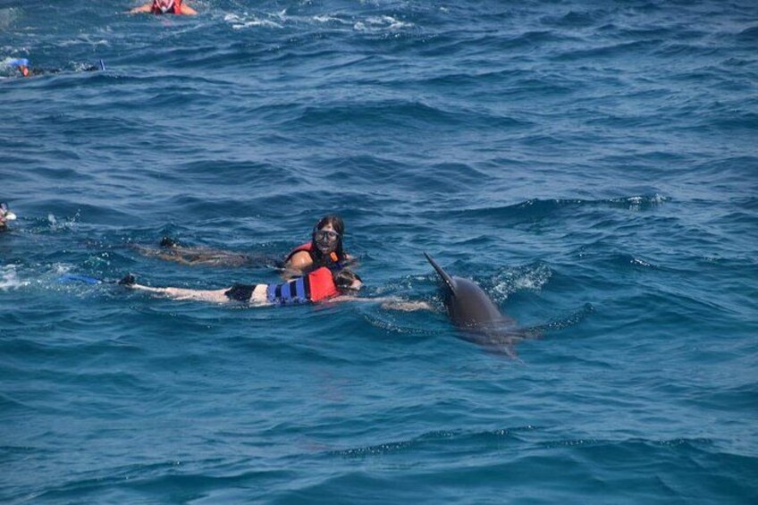 Dolphin House with lunch by Boat from Hurghada 1